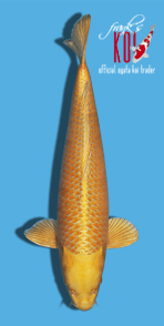 82